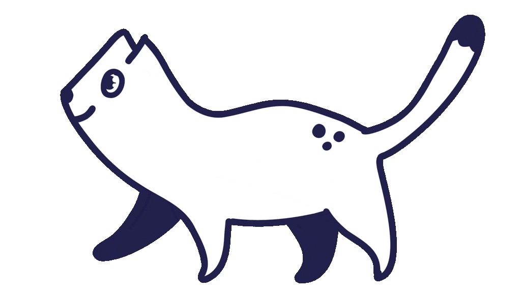 Quantum cat walking